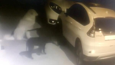 Aracın çamurluğunda 500 diş darbesi