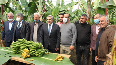 Hatay'da muzlar toplanmaya başladı