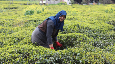 Karadeniz'i bekleyen büyük tehlike bugün açıklandı