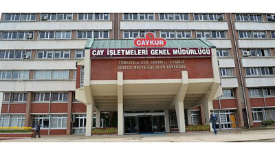 Çaykur'un 210 kişilik işine 23 bin kişi başvurdu. Hani Mars’a gidip koloni kuracaktık. Rize’de durum buysa...