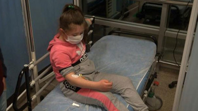 Kırıkkale'de pitpull dehşeti