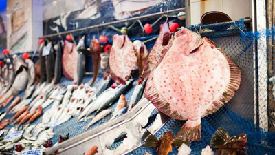 Balık tezgahında vatoz oyunu. Kilosu 250 lira olunca