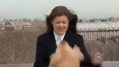 Muhabir mikrofonu köpeğe kaptırdı. Canlı yayını bırakıp peşinden koştu