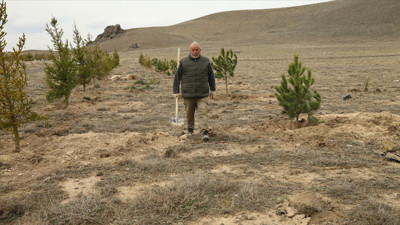 7 yılda tek başına yaklaşık 10 bin fidan dikti