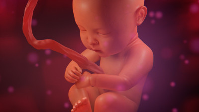 Korona anne karnındaki bebeği öldürür mü? Kadın Doğum Uzmanı Prof. Şimşek anlattı