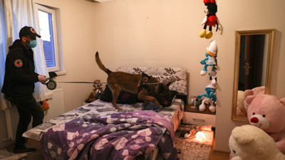 Vadi Operasyonu'nda 81 gözaltı