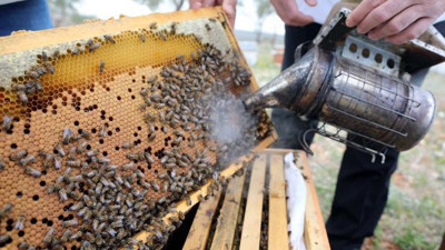 Gaziantep'te bal üretimi 42 kat arttı