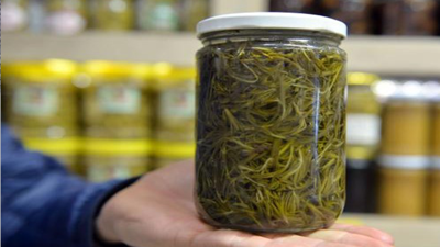 Dağlarda kendiliğinden yetişiyor. Salatası da yapılıyor çayı da. Her derde deva