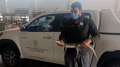 Adana’da evinde timsah besledi yakalandı. Bu kadarına da pes zevke bak