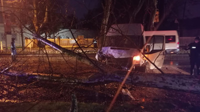 Hızlı şoför, direğe çarpıp ağacı devirdi