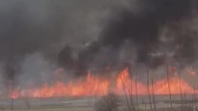 Gölünyazı Kuş Cenneti'nde korkutan yangın. Yol olmadığı için itfaiye araçlarla müdahale edemiyor