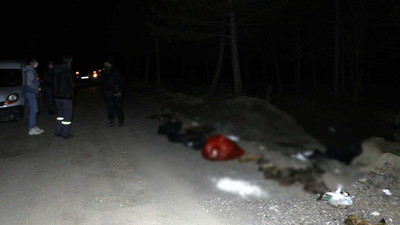 Damar yolu açılmış 30 köpek ölü bulundu. Ankara'da vahşet