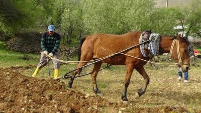 Batman'daki engebeli tarlalar böyle sürülüyor