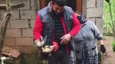 Horoz kesileceğini anladı. Anne diye ötmeye başladı
