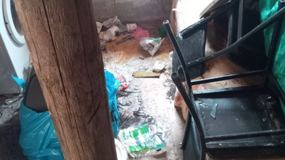 Rize'de aç kalan ayılar evleri bastı. İçeride yemek aradılar