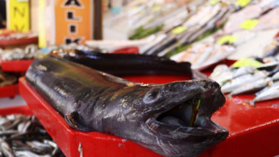 1.5 metrelik mıgri görenleri ürküttü