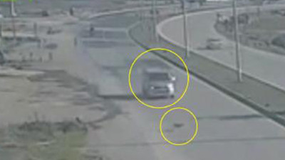 Köpeğe çarpıp ölümüne neden olan sürücüye para cezası