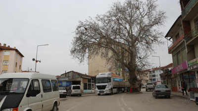 Yol ortasında kalınca büyük ilgi gördü