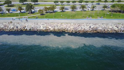 Kartal sahilinde görülen deniz salyası endişe yarattı