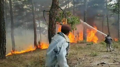 Denizli'de orman yangını. 4 hektar alan yandı