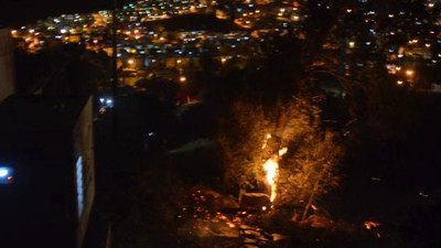 Bodrum'da makilik alanda yangın (18 Nisan 2021)