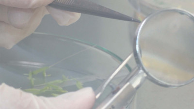 Türk bilim insanlarından çarpıcı çalışma. Dünyada ilk örnek oldu