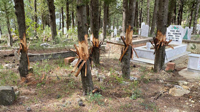 Antalya'da mezarlıktaki ağaçlara zarar verildi
