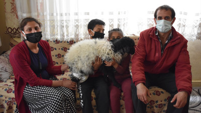 Veteriner bulamayınca kuzuyu hastaneye götürdü