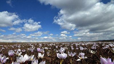 Havalar ısındı meralar şenlendi