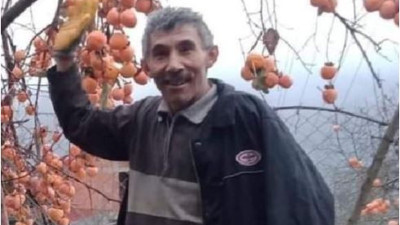 Kestiği ağaç canından etti