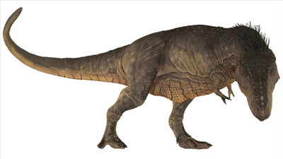 T-Rex dinozorlar ile ilgili yeni keşif