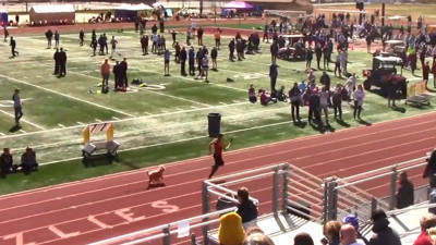 ABD'de tribünden atlayan köpek pistin tozunu attırdı. Usain Bolt gibi koştu