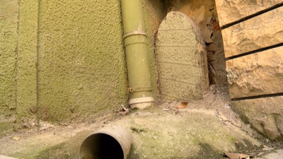 İstanbul'da yürek sızlatan görüntü. Kaderine terk edildi