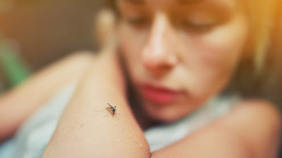 Yüzlerce kişi sıtma kurbanı oldu