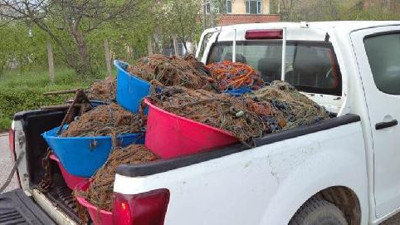 Kaçak ağlara takılan kalkan balıkları denize bırakıldı