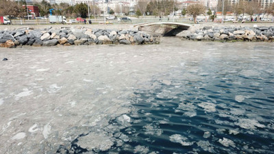 Marmara'ya çöken kabus neyin habercisi. Denizi kapladı balıkçılar açılamıyor