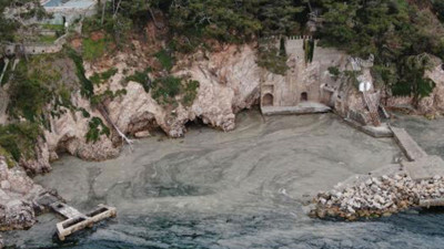 Büyükada'yı salya sardı. Kimse sahilde duramıyor