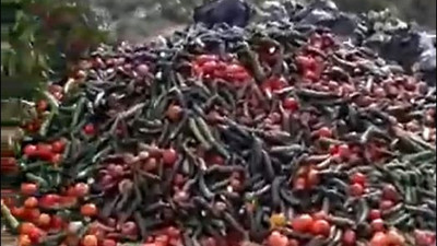 Pazarlar kapatılınca çiftçi ürününü çöpe attı. Açılma kararı alındı ama iş işten geçti