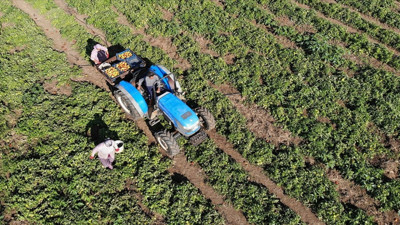 Pakdemirli açıkladı. Bayramdan önce ödeme yapılacak