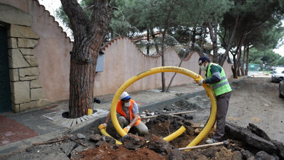 Yıllanmış ağaçlara nefes borusu