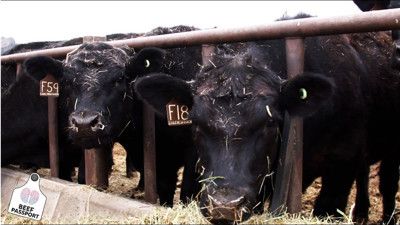 ABD biftek pasaportu uygulaması başlattı