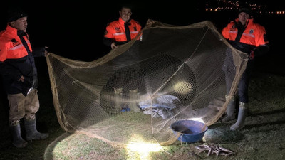 İnci kefali avlayanlara ceza yağdı. Tonlarca ölü balık imha edildi