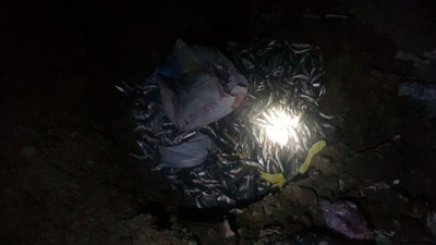 Kaçak avlanan 300 kilo inci kefali, imha edildi