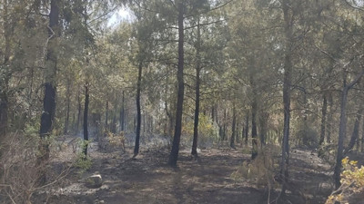 Hatay’da örtü yangını