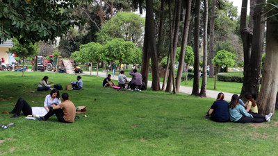 Yazın kabusu geri döndü. Sakın filmlerdeki gibi yapmayın öldürebilir