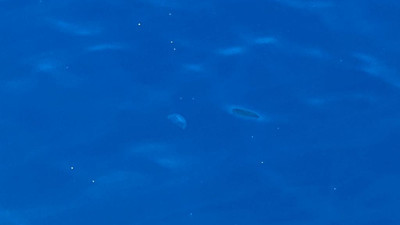 Türkiye'nin cennet koylarında korkutan görüntü