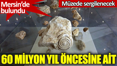 Mersin'de bulundu. Müzede sergilenecek