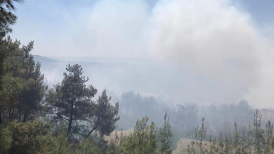 Adana'da orman yangını (24 Mayıs 2021)