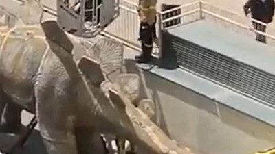 Kayıp ihbarı yapılan adamın cesedi dinozor heykelinden çıktı