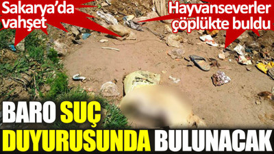 Sakarya’da vahşet. Hayvanseverler çöplükte buldu. Baro suç duyurusunda bulunacak